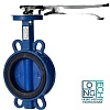Затвор дисковый поворотный чугунный межфланцевый с чугунным диском манжета EPDM с рукояткой Benarmo Ду40-300 Ру16 Затвор дисковый поворотный чугунный межфланцевый с чугунным диском манжета EPDM с рукояткой Benarmo Ду40-300 Ру16 Иваново